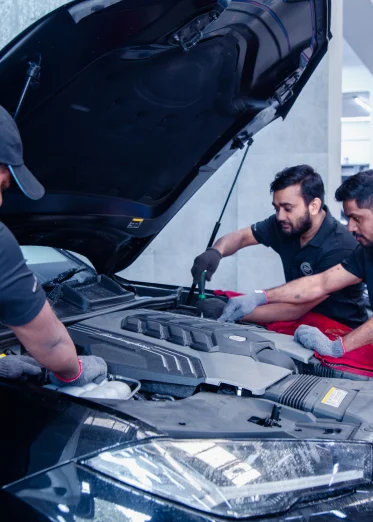 State-of-the-Art Facilities