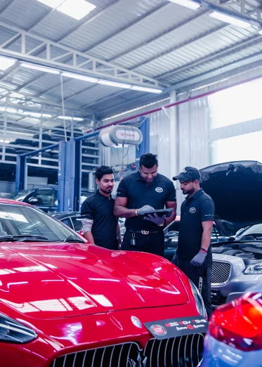 Customization Options